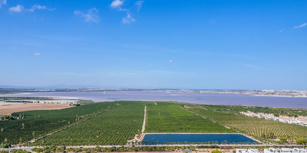 Superbe Appartement Rez de Chaussée Neuf de 71 m2 à Torrevieja à Torrevieja — photo 17